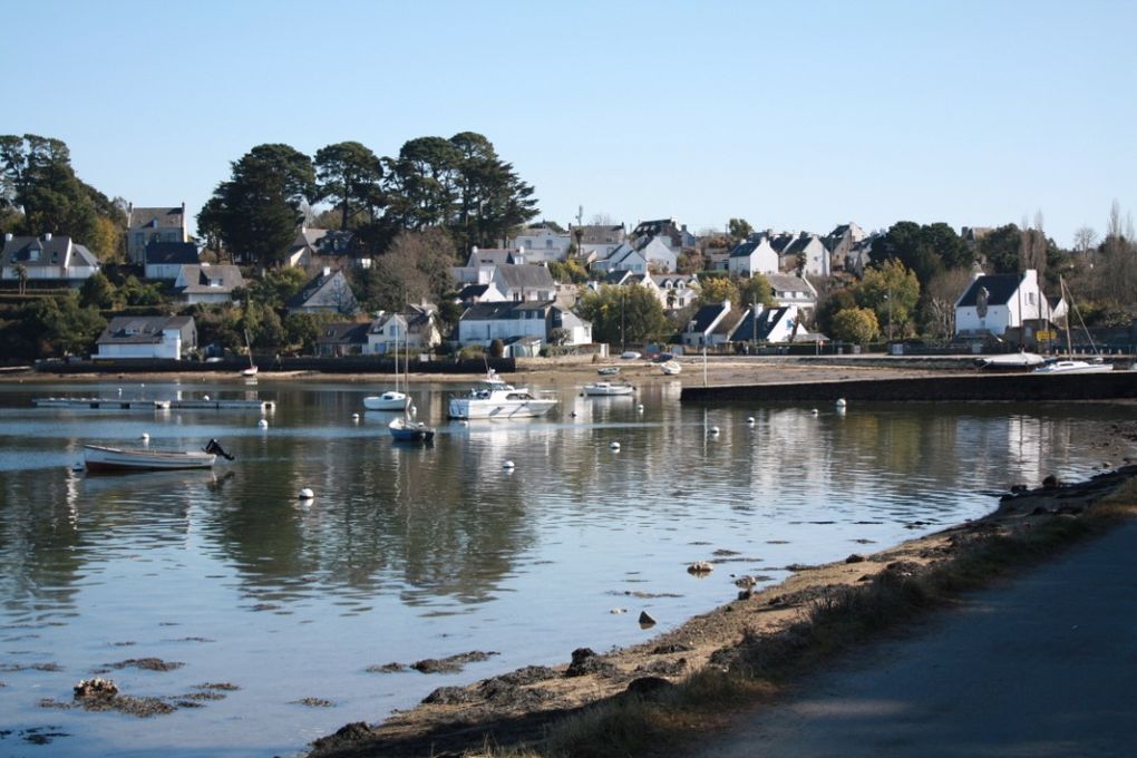 Photos du Tour du Golfe en bateau et de l'arrêt sur l'Ile aux Moines; lundi 15 mars 2010.