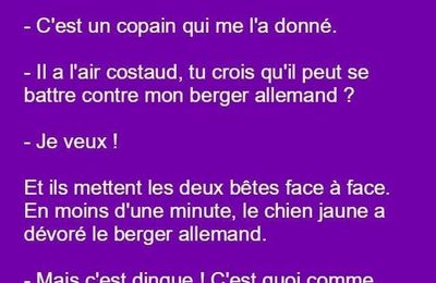 Du rire 🤣 
