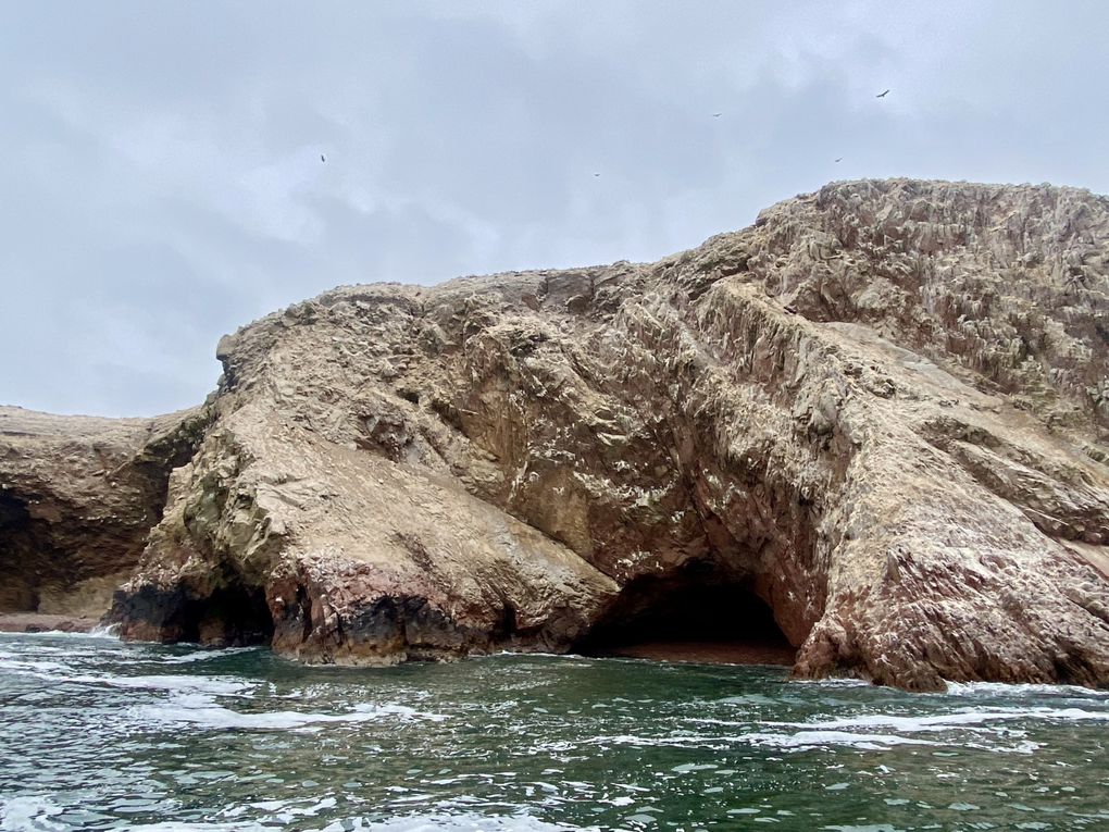 Une aventure exceptionnelle à Paracas et Huacachina 