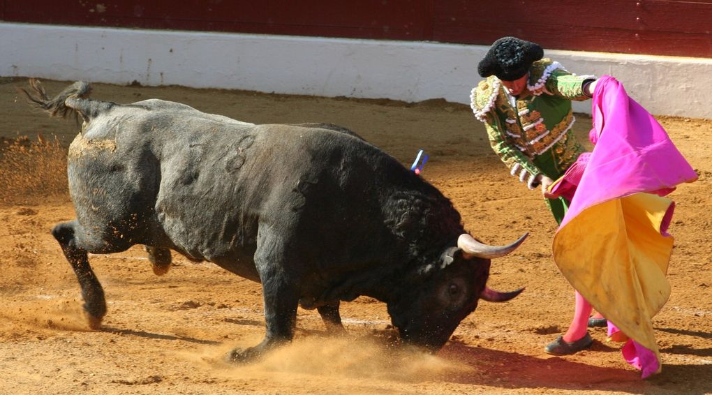 Album - Vic-2010-Corrida-de-Victorino-Martin