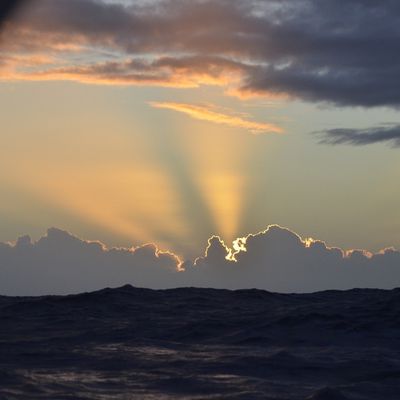 Traversée du Pacifique - Galapagos aux Marquises