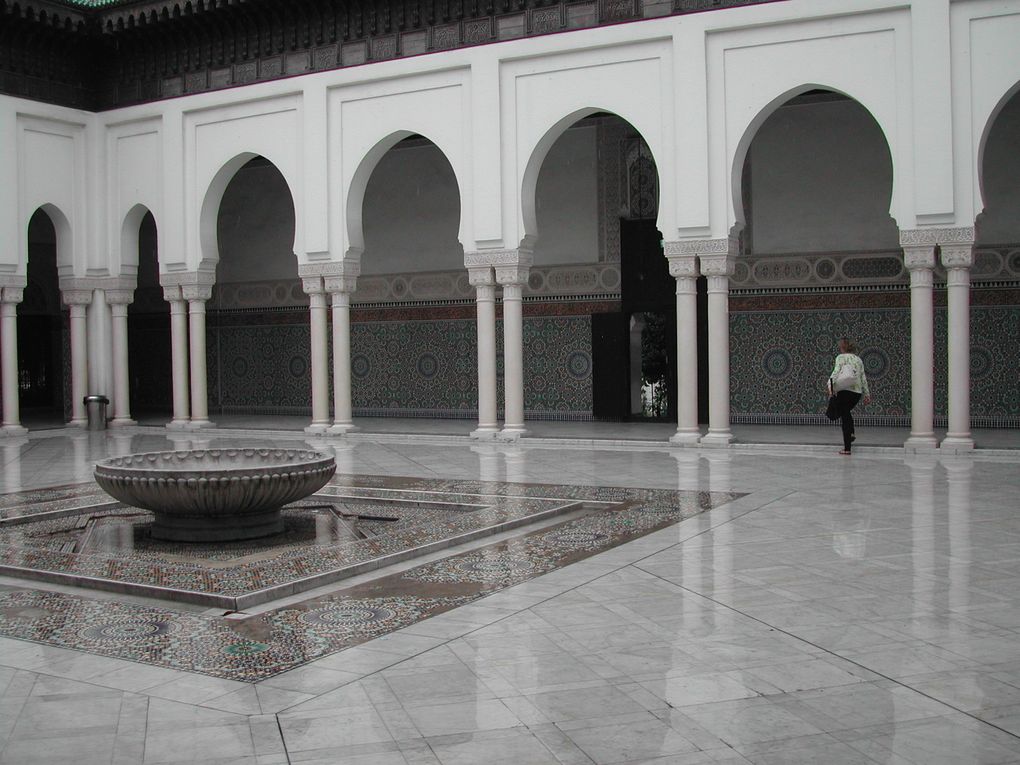 Visite du jardin de la Mosquée de Paris avec Isabelle Levêque, paysagiste qui a restauré ce jardin.