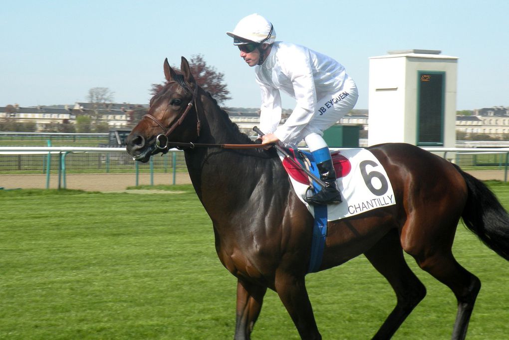 Prix de Fontainebleau