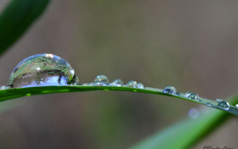 Gouttes d'eau