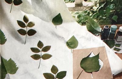 Le rideau de feuilles n°11