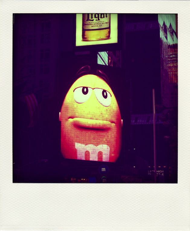 Album - NEW-YORK-POLA