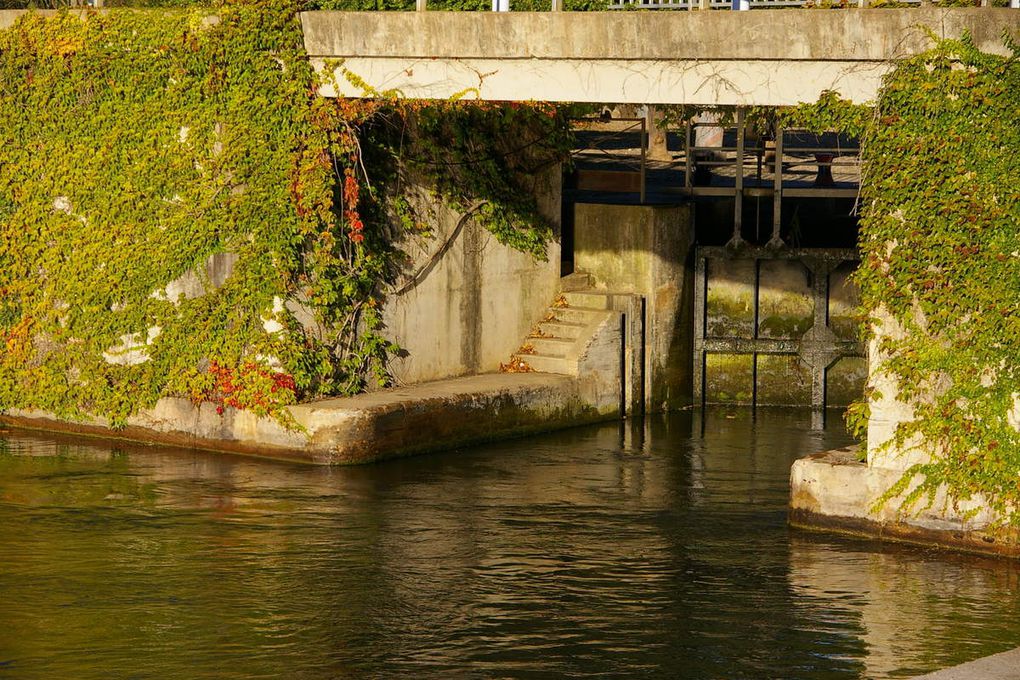 Couleurs et images d'automne au bord du canal du Midi.