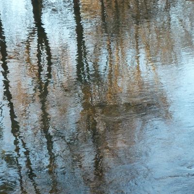 Comment nait l’esprit de groupe -Groupements et regroupements ?