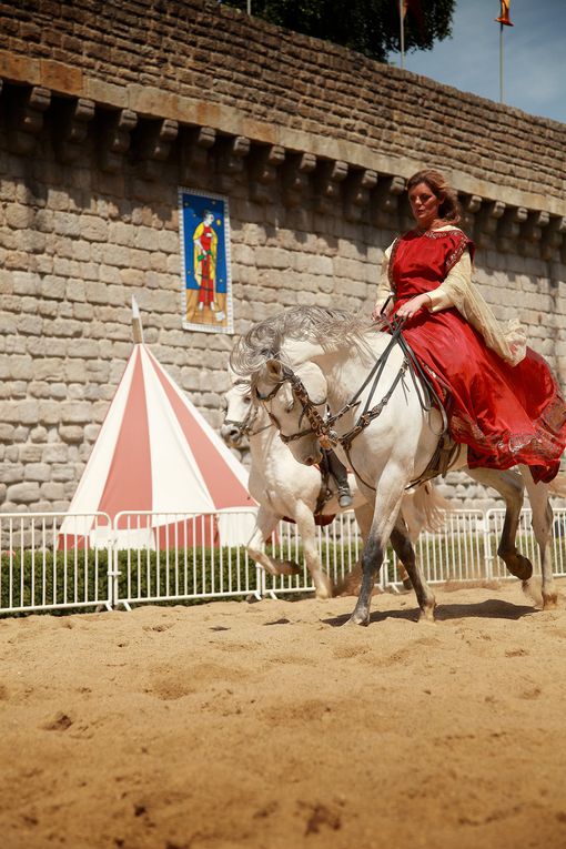 Fête Médiévale de Guerande 2011  fete medievale de guerande spectacle et défilé