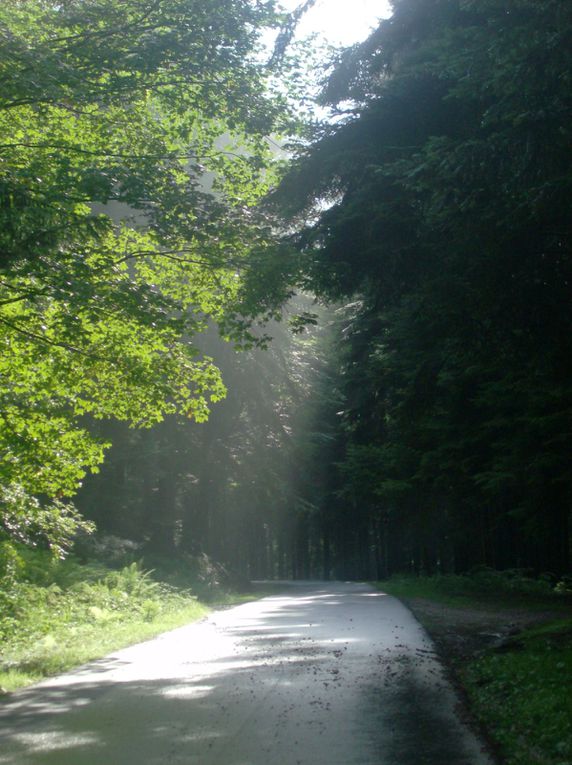 Album - les-vosges