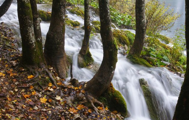 Parc national de Plitvice en Croatie ( suite et fin)