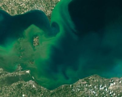 ALERTE - Algues vertes, algues bleues: de nombreux milieux aquatiques étouffent