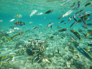 El Nido et ses iles environnantes 