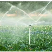 La nouvelle stratégie de l'eau est sortie en Allemagne : ce qui attend les agriculteurs