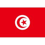 Elections Tunisie : Les observateurs de France 24 lancent une plateforme participative.