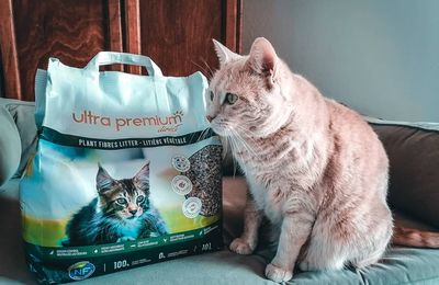 La litière végétale pour chat Ultra Premium Direct