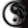 yinyang 阴阳