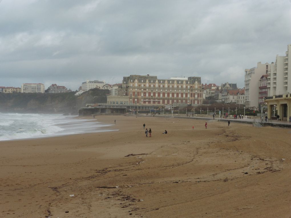 Les 4èmes au FIPA à Biarritz
