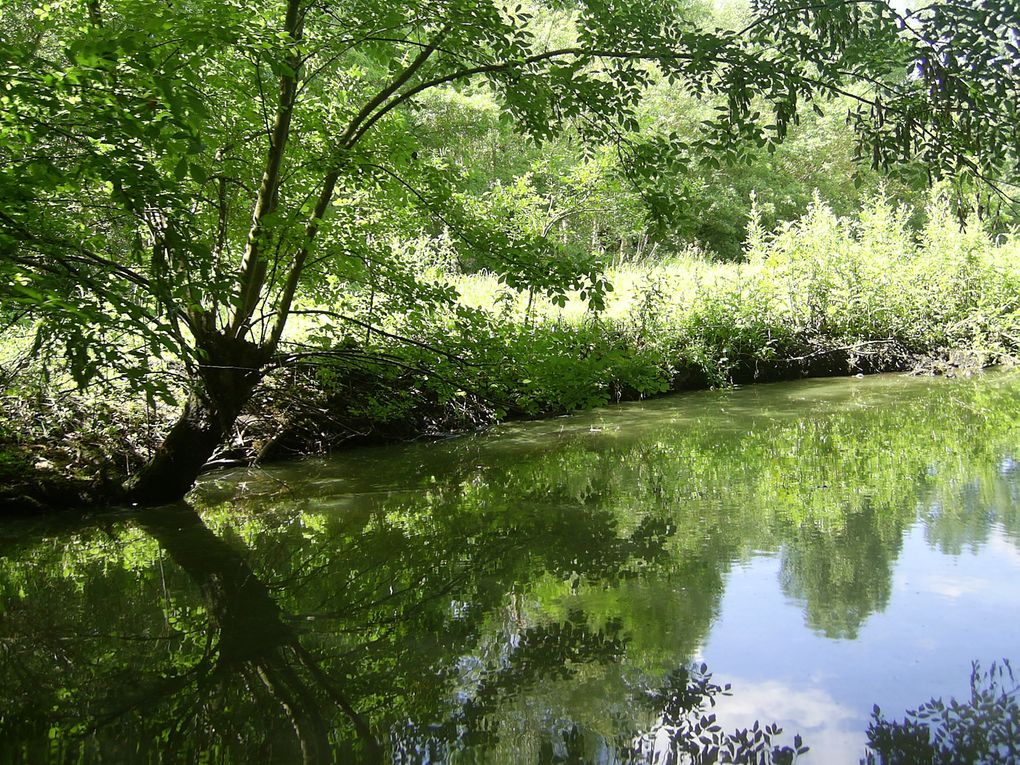 Vacances 2013 (11.b/Marais poitevin)