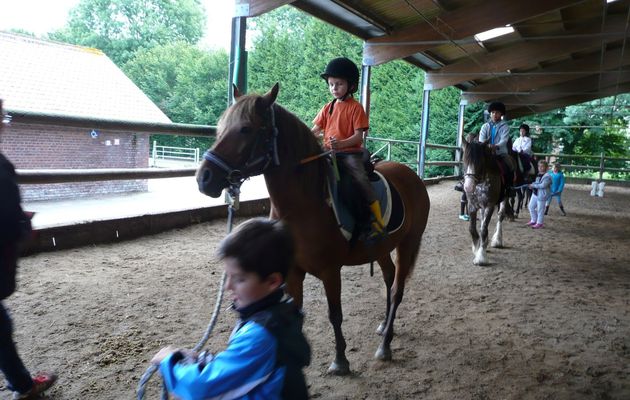 Stage Equestre Comines - 3 au 7 Aout
