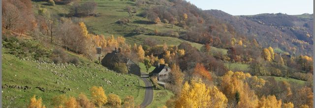 Les environs de Brezons dans le Cantal