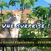 Vidéo - Une surprise !