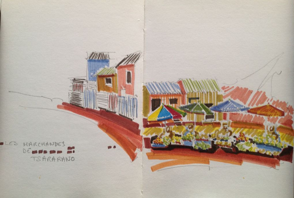 Illustrations sortient d'un carnetde voyage fait au feutre, lors d'une escale de 7 semaines à Mayotte en 2010.