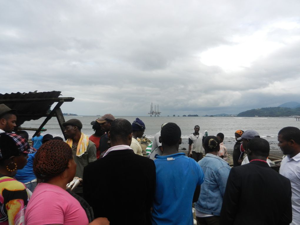 Limbé et ses plages, son parc botanique, son centre de la faune, son activité. Buea base pour le Mont Cameroun et le pont M'Fundi base pour le Nigeria