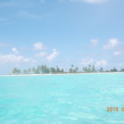 Les Tuamotu