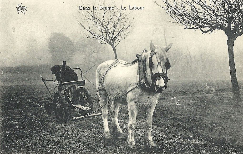 Album - 01-Vie-rurale