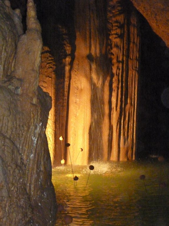 Album - Grotte-Trabuc---Foret-fossiles