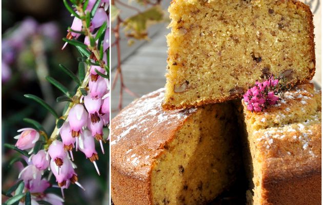 Moelleux à la noisette et noix