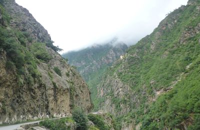 les gorges et les singes de Kherrata 2010