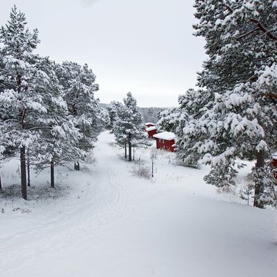 La neige est là : 20 cm au cumul, c'est magique !