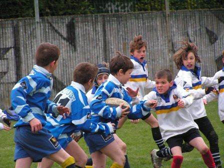 Album - ecole-de-rugby