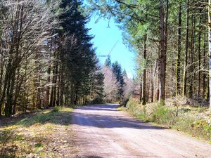 Autour du Parc éolien de Belfays