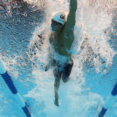 ENTRAINEMENT MARS  2024 NATATION