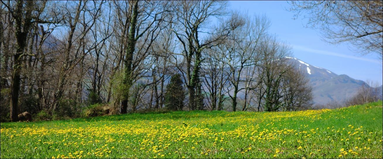 Randonnée à Ascarat / Elurti ( Pyrénées-Atlantiques 64 ) AA