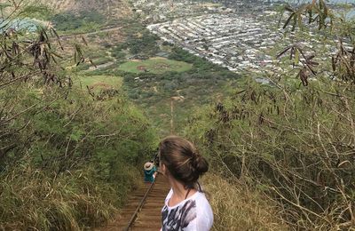 KOKO HEAD