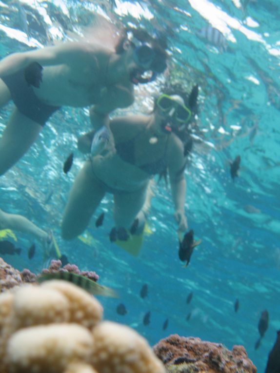 Album - Plongée dans le Lagon de Bora Bora