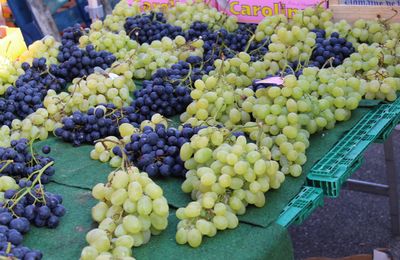 Produção de hortícolas em Portugal