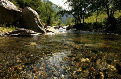 Pyrénées