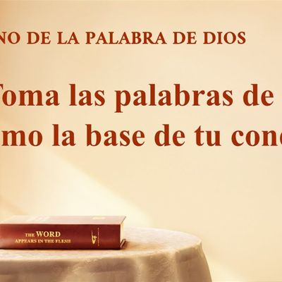 Canción cristiana | Toma las palabras de Dios como la base de tu conducta