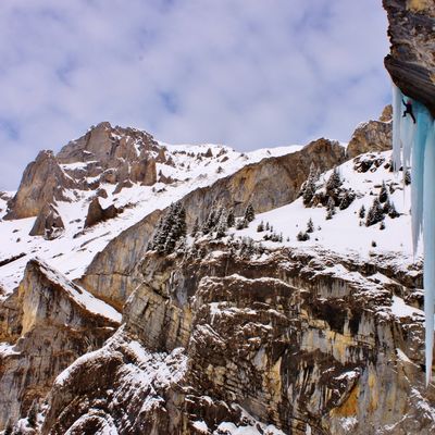 RollMops, la montagne c'est pas pour les harengs !