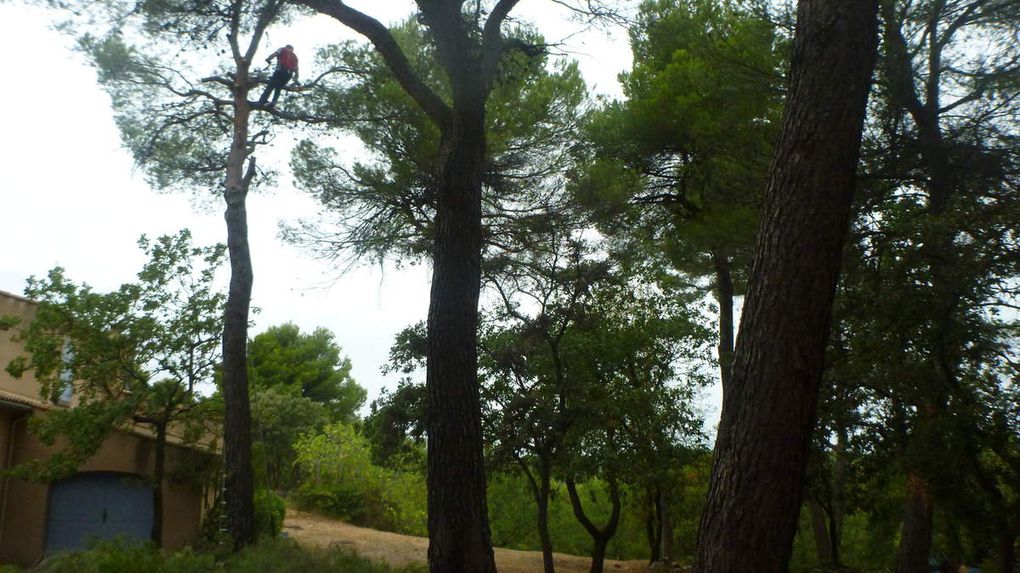 1ere étape : démontage partiel de l'arbre