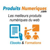 Découvrez comment générer des revenus automatiquement en créant un réseau de blogs automatisés rémunérateurs