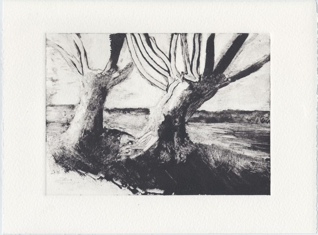 Monotypes Saules