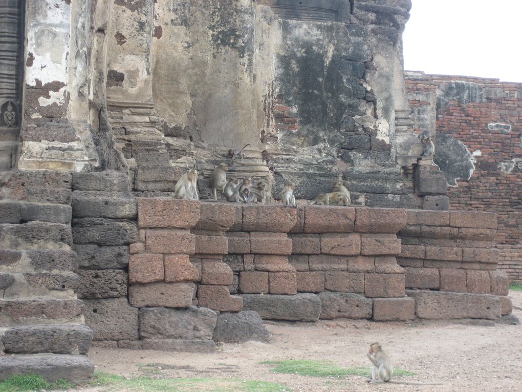 Album - Tailande, Lopburi &amp; Sukhothai