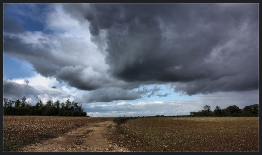 Album - Paysages