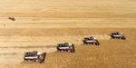 Trois entreprises américaines contrôlent plus d’un tiers des terres agricoles ukrainiennes